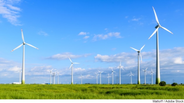 Dekorative
		  Grafik