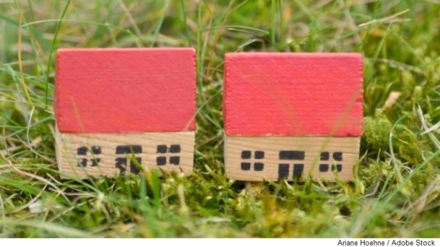 Dekorative
		  Grafik