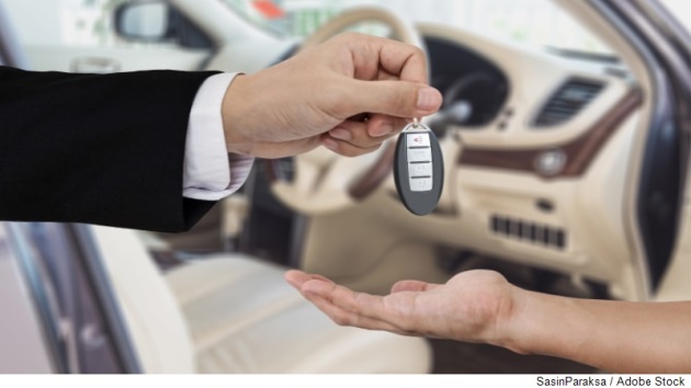 Dekorative
		  Grafik