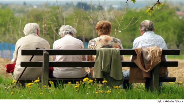 Dekorative
		  Grafik